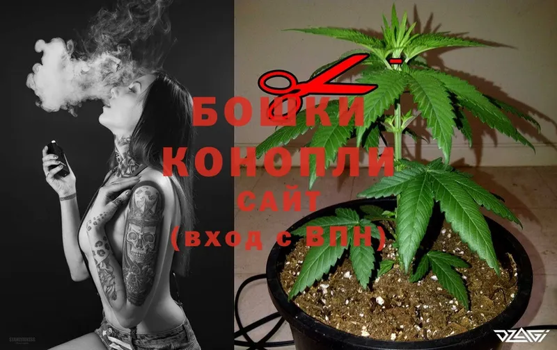 Конопля OG Kush  Верхний Уфалей 